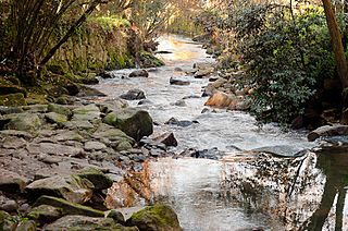 Río Lagares, decembro 2011.jpg