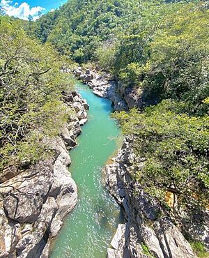Archivo:Rio Sapo 