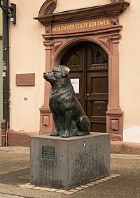 Archivo:Rottweil, sculptuur van een rotweiler voor het stadsmuseum IMG 4914 2023-05-01 18.00