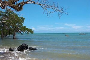 Archivo:Roxas, Sulu Sea, Trees, Palawan, Philippines