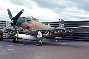 Archivo:Skyraider A-1H-J 1969 - 00000033 - USAF