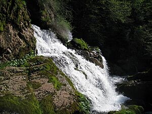 Archivo:Springs of the Llobregat - Castellar de n'Hug - 2011 (2)