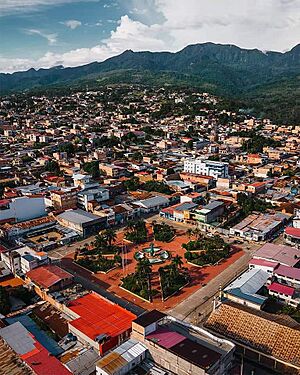 Archivo:Tarapoto plaza