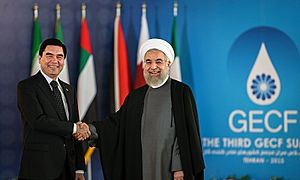 Archivo:Third GECF summit in Tehran 41