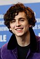 Timothée Chalamet 2017 Berlinale