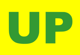 Union Patriotica flag