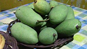 Archivo:Unripe chok anan mangoes2