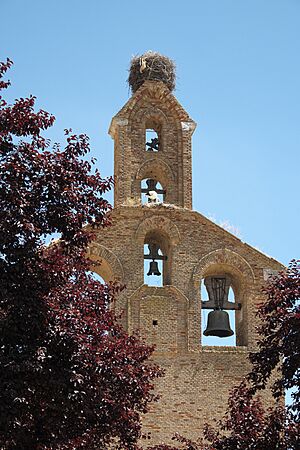 Archivo:Villalón de Campos San Juan Bautista 591