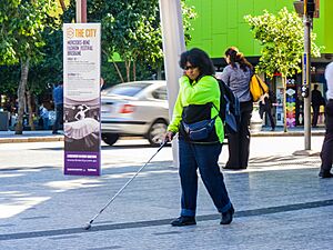 Archivo:Vision impaired pedestrian on Braille Trail Queen Street Mall Brisbane P1320757