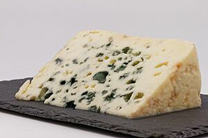 Archivo:Wikicheese - Roquefort - 20150417 - 003