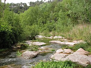 Archivo:080512 Río Ripoll - Les Arenes 11