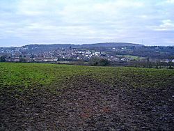 A view of Dinas Powis - geograph.org.uk - 96955.jpg