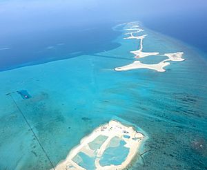 Archivo:Artificial-Islands-Maldives-2019-Luka-Peternel