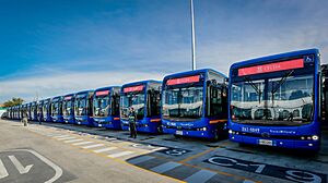 Archivo:Autobuses eléctricos BYD en Bogotá