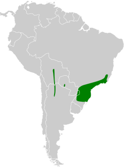 Distribución geográfica del batará gigante.