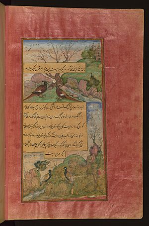 Archivo:Birds of Hindustan luchas, called būqalamūn, and partridges
