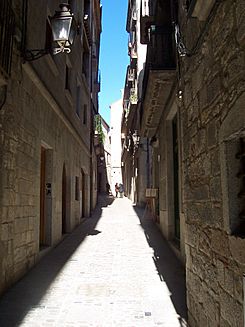 Archivo:Carrer de la Força Girona