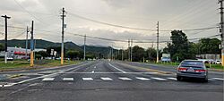 Carretera PR-149, Juana Díaz, Puerto Rico (2).jpg