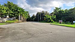 Carretera PR-933, Juncos, Puerto Rico (2).jpg