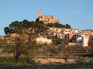 Archivo:Castell de Biar des de la carretera de la Canyada