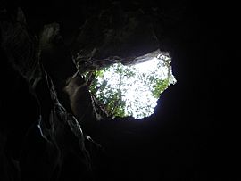 Cavernas del Nus.jpg