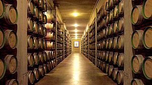 Archivo:Cellar at Marques de Riscal winery in Elciego, Spain 2