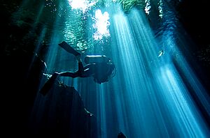 Archivo:Cenote por Gustavo Gerdel
