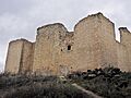 Cifuentes Castillo1