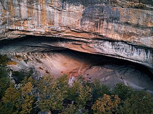Archivo:Cueva del Milodón (40194701312)
