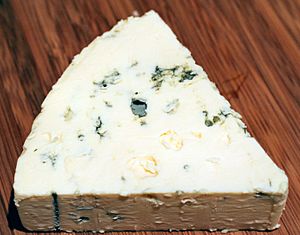 Archivo:Danish Blue cheese