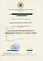Diploma-ExpertoUniversitario-UNED