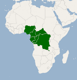 Países donde se encuentra el mango africano