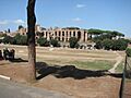 Domus Severiana and Circo Massimo