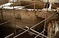 Ecbatane - excavated house