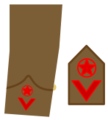 Ejerpopulardivi11