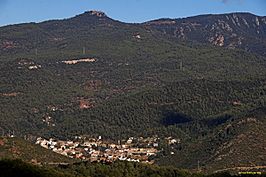 Vista de la localidad de Figaró