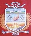 Escudo ayapel