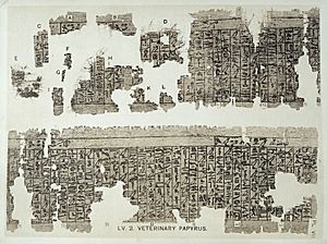 Archivo:F.L. Griffith, Hieratic papyri from Kahun and Gurob. Wellcome L0028812