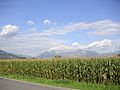 Field, corn, Liechtenstein, Mountains, Alps, Vaduz, sky, clouds, landscape