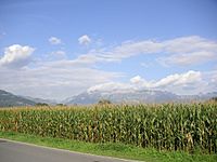 Archivo:Field, corn, Liechtenstein, Mountains, Alps, Vaduz, sky, clouds, landscape