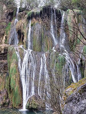 Archivo:Glandieu Falls France
