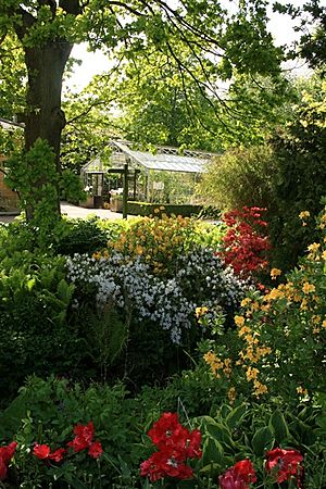Archivo:Harlow Carr