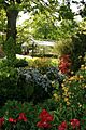 Harlow Carr