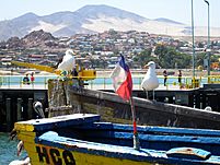 Archivo:Huasco Muelle Fiscal 2