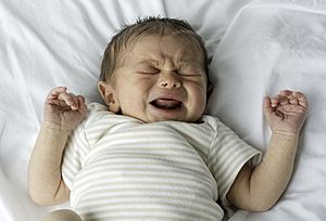 Archivo:Human-Male-White-Newborn-Baby-Crying