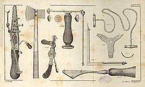 Archivo:Instrumentos de Argumosa