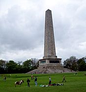 Archivo:Ireland - Dublin - Phoenix Park - Wellington Monument
