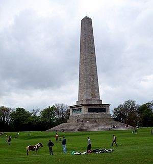Archivo:Ireland - Dublin - Phoenix Park - Wellington Monument