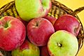 Malus Gascoynes Scharlachroter 4554
