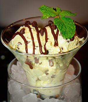Archivo:Mint Chocolate Chip Ice Milk from Little Oven (4149894986)